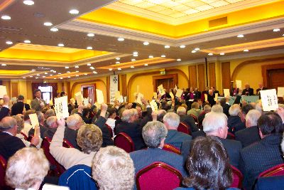 Voting at General Synod